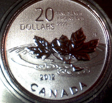 Next-$20-For-$20-Coin.
