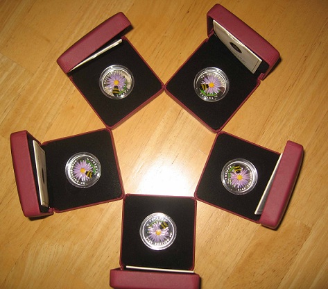 Bumble-Bee-Sold-Out