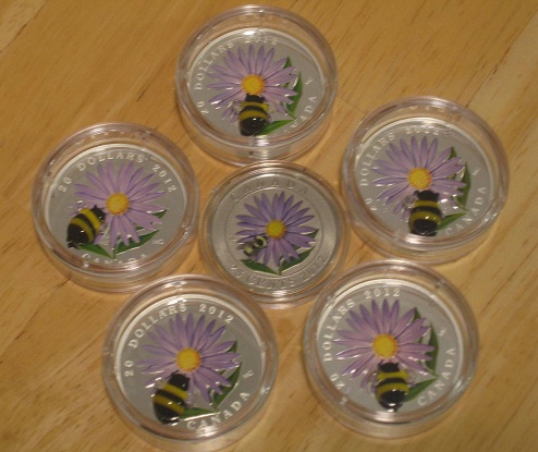 Bumble-Bee-Sold-Out