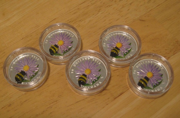 Bumble-Bee-Sold-Out