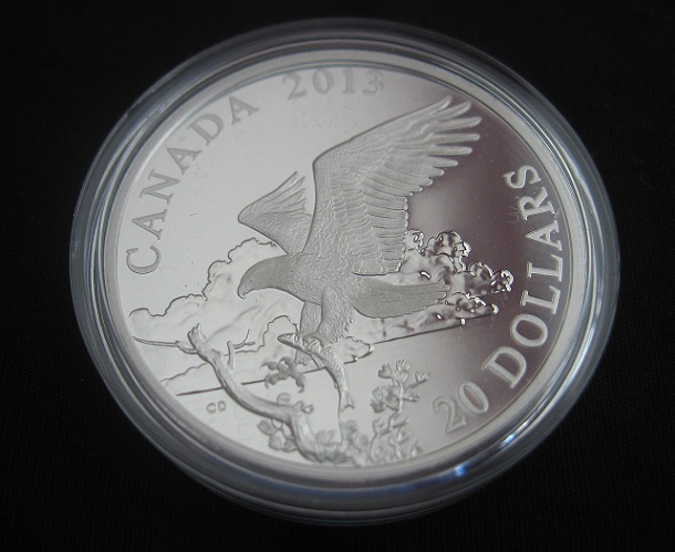 2013-Bald-Eagle-Coin