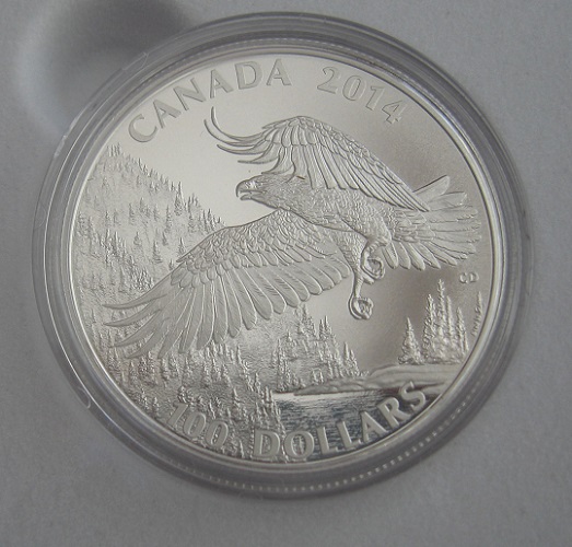 100$-For-100$