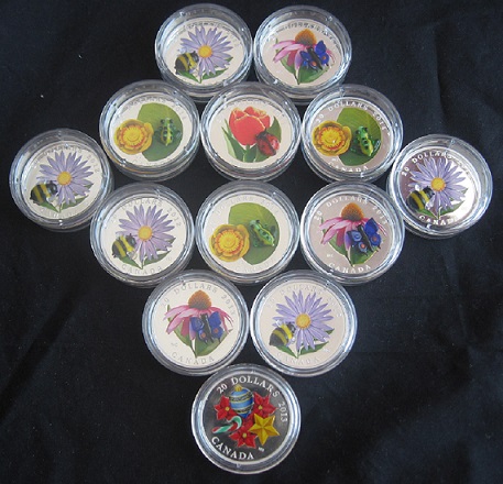 Venetian-Glass-Frog-Coin