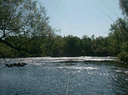 Royal-Canadian-Mint-New-Release:-North-American-Sportfish-Subscription