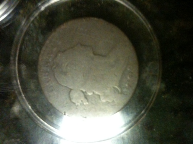 My-Numismatic-Paper-Clip