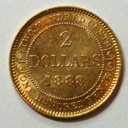 1888-Newfi