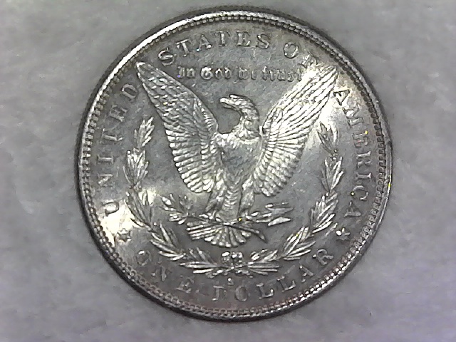 1881-S-Morgan-Dollar-For-Grading