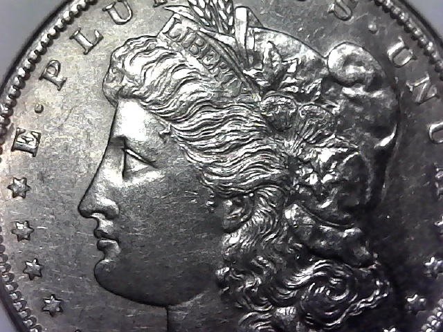 1881-S-Morgan-Dollar-For-Grading