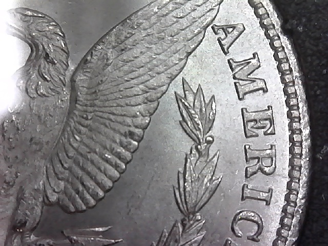 1880-CC-Morgan-Dollar-8-Over-High-7-?