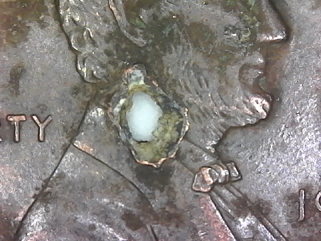 LMC-Three-Examples-Of-Extreme-Zinc-Rot!