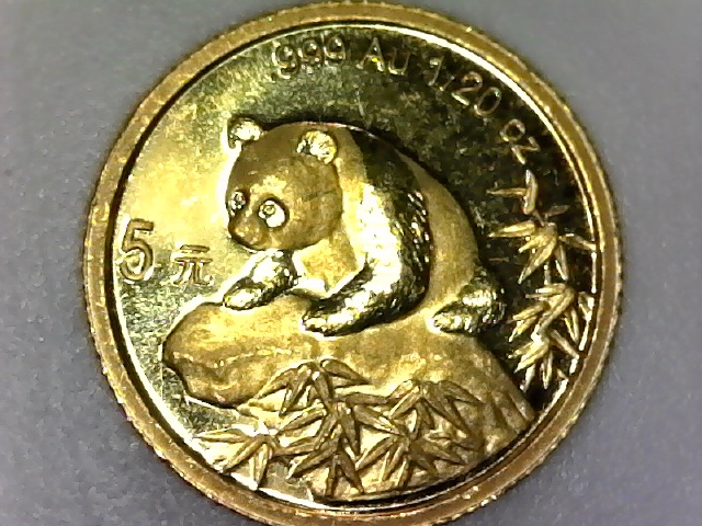 Just-A-Lighthearted-Post-About-Finding-Three-Tiny-Gold-Coins!