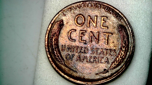 1916-LWC-Lamination-Error,-Over-Polished-Die,-Env-Damage-Or-All-Of-The-Abov