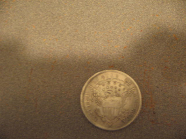 Bust-Dollar-Coin