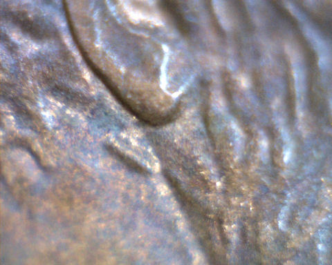 1997-P-Lincoln-Cent