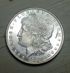 1880-O-Help-Identifying,-Well,-Something?