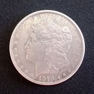 Looking-For-Help-With-An-1878-S