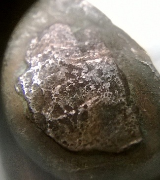 1909-Wheat-Cent.-Cuds?-Not-Sure-What-This-Is?