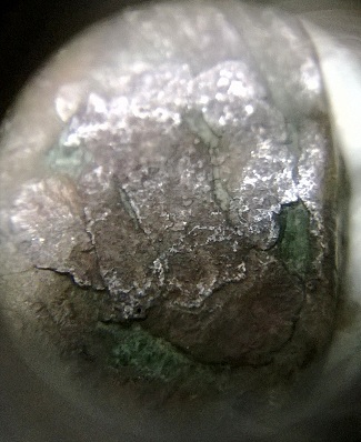 1909-Wheat-Cent.-Cuds?-Not-Sure-What-This-Is?