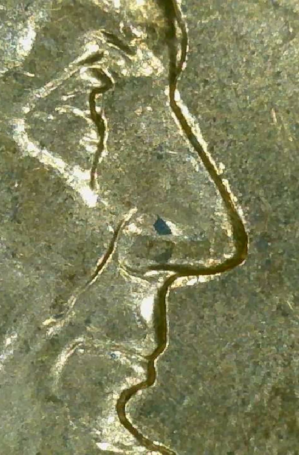 Is-This-A-1997-Double-Ear-Cent?