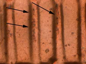 1984-D-Lincoln-Cent-Doubled-Die-Obverse-?