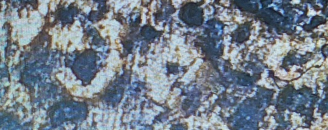 Hard-To-Decipher-Date---Any-Guesses?-Cent