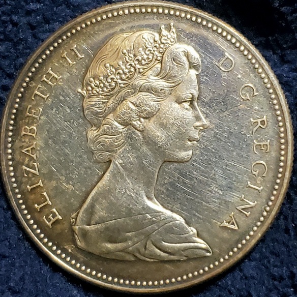 Post-Your-Bird-Coins