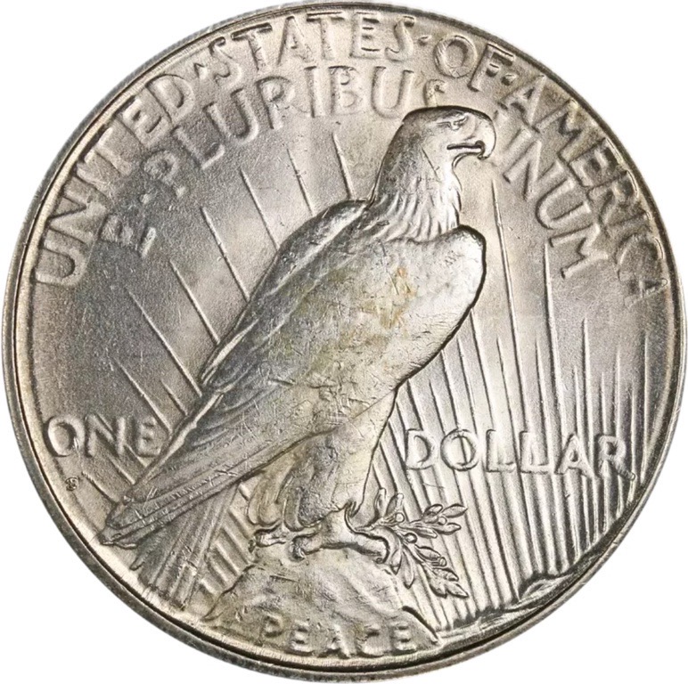 Why-Does-This-1926-S-Peace-Dollar-Have-Ring-Around-The-Collar?