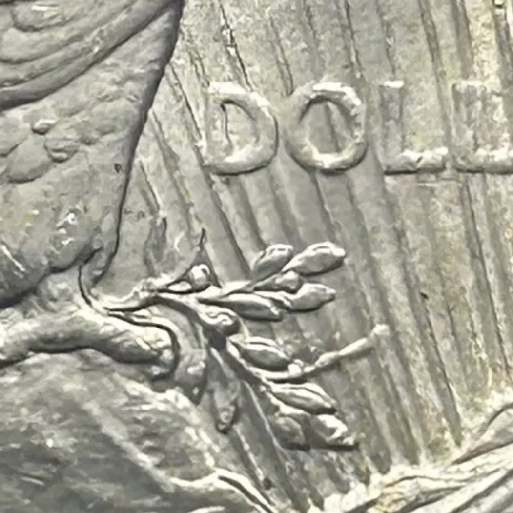 1922-P-Peace-Dollar.-Maybe-Clash-Obv.-N-And-Extended-Stem-Die-Break