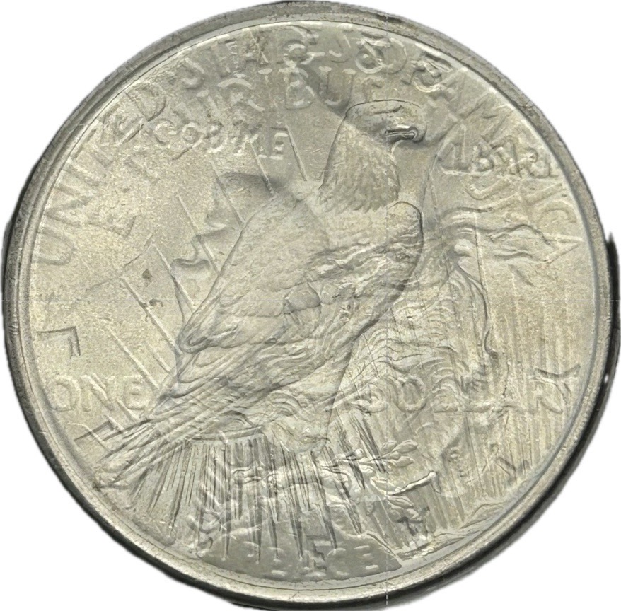 1922-P-Peace-Dollar.-Maybe-Clash-Obv.-N-And-Extended-Stem-Die-Break