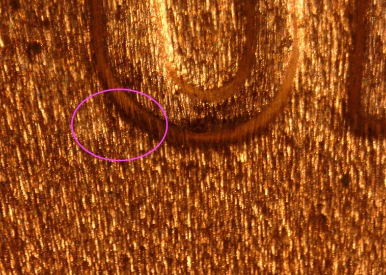 Identifying-A-Late-Stage-1995-P-LMC--DDO2-[stage-D?]