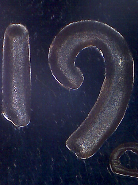 Help!--Is-This-The-Finest-Known-1970-S-Ld/Sd-Penny?