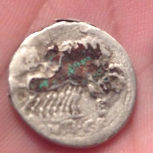 Possible-Ancient-Roman-Fouree?