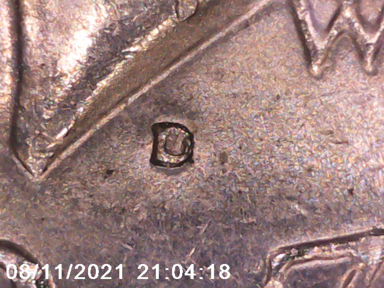 1971-D-Kennedy-Half-Dollar-RPM