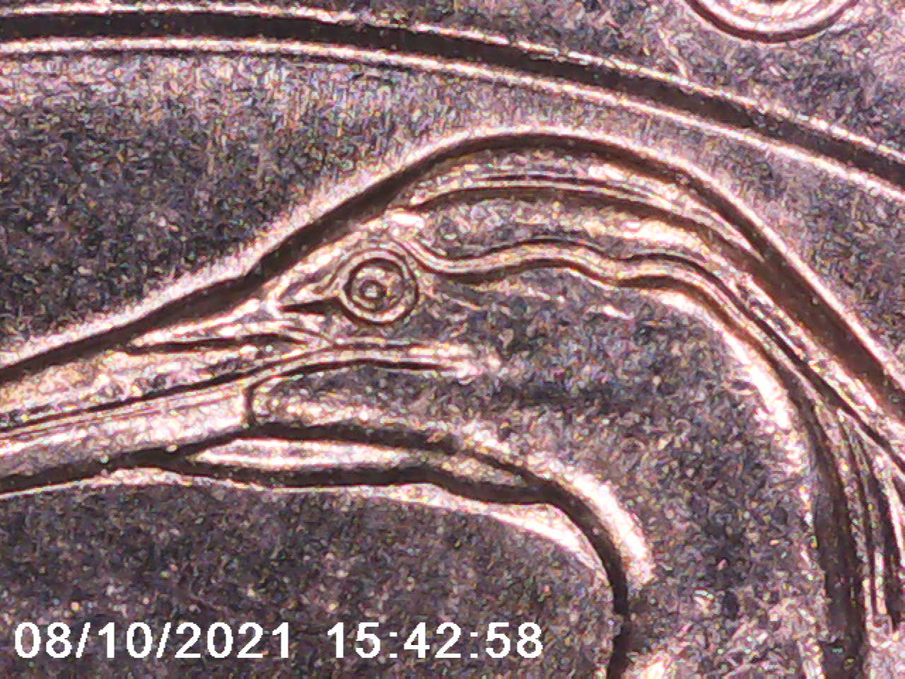 2015-ATB-Bombay-Hook-DDO?