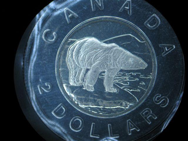The-Siver-Toonie