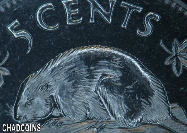 Furless-Beaver-On-Nickel