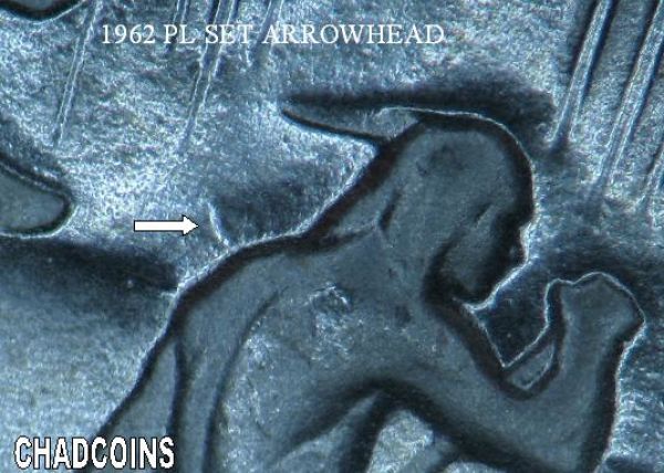 Silver-And-Nickle-Dollar-Arrowhead-Varieties