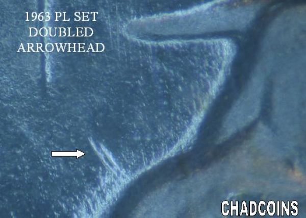 Silver-And-Nickle-Dollar-Arrowhead-Varieties