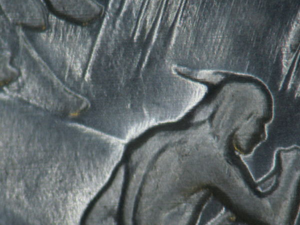 Silver-And-Nickle-Dollar-Arrowhead-Varieties