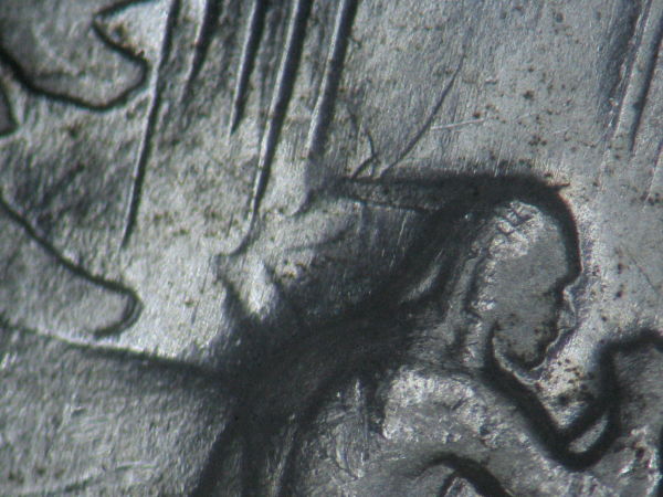 Silver-And-Nickle-Dollar-Arrowhead-Varieties