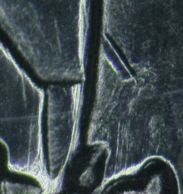 1974-Nickel-Dollar-Maybe-A-New-Listing?