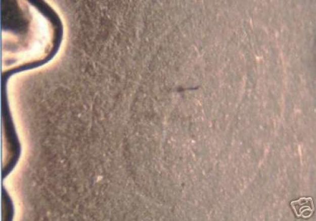 CCCS-Seeing-'Ghosts'?