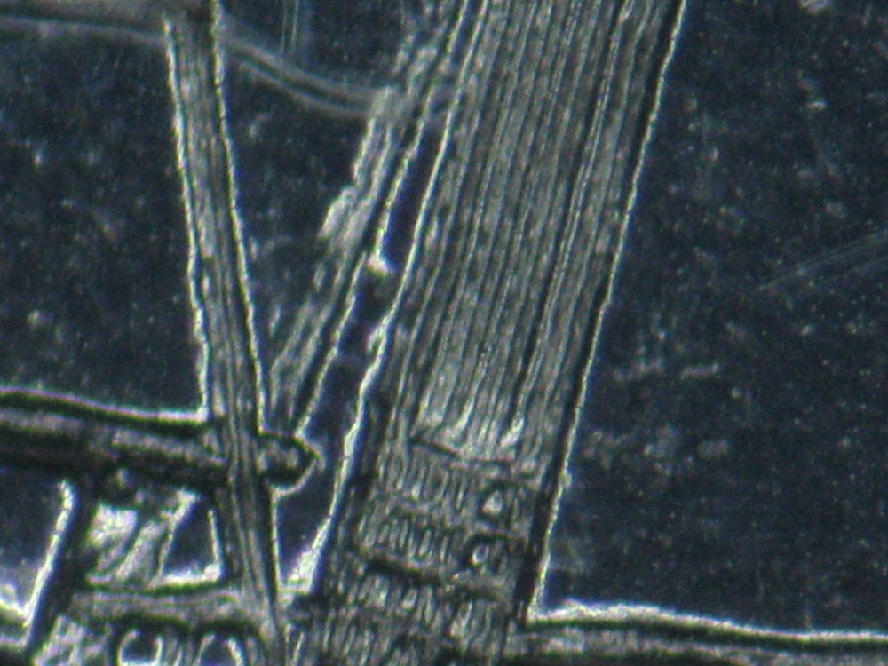 1974-PL-10c-Nice-Doubled-Die-Reverse