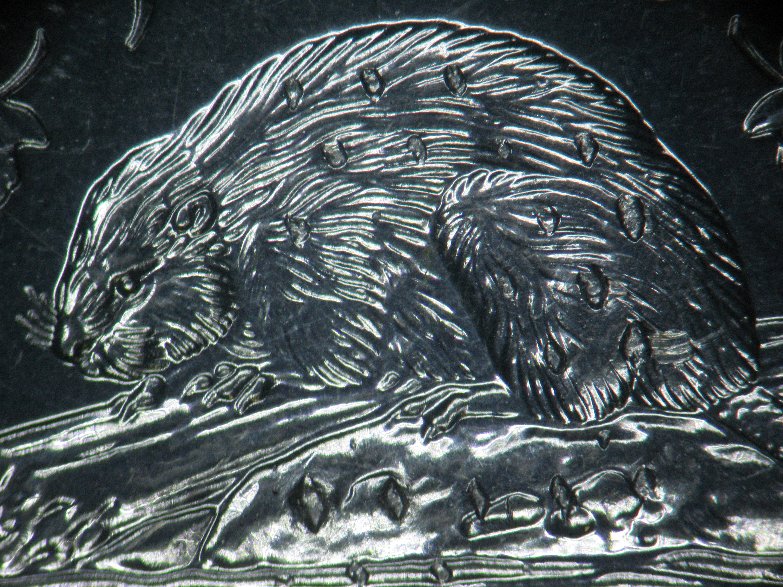 2003-Wp-Nickle-/-The-Beaver-Got-Beaver-Feaver