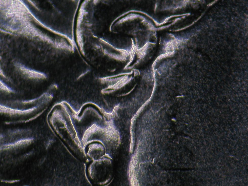 2008-1-Cent-/-Maybe-A-New-Variety-/-Need-A-Name-!