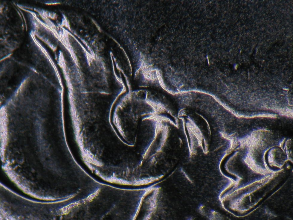 2008-1-Cent-/-Maybe-A-New-Variety-/-Need-A-Name-!