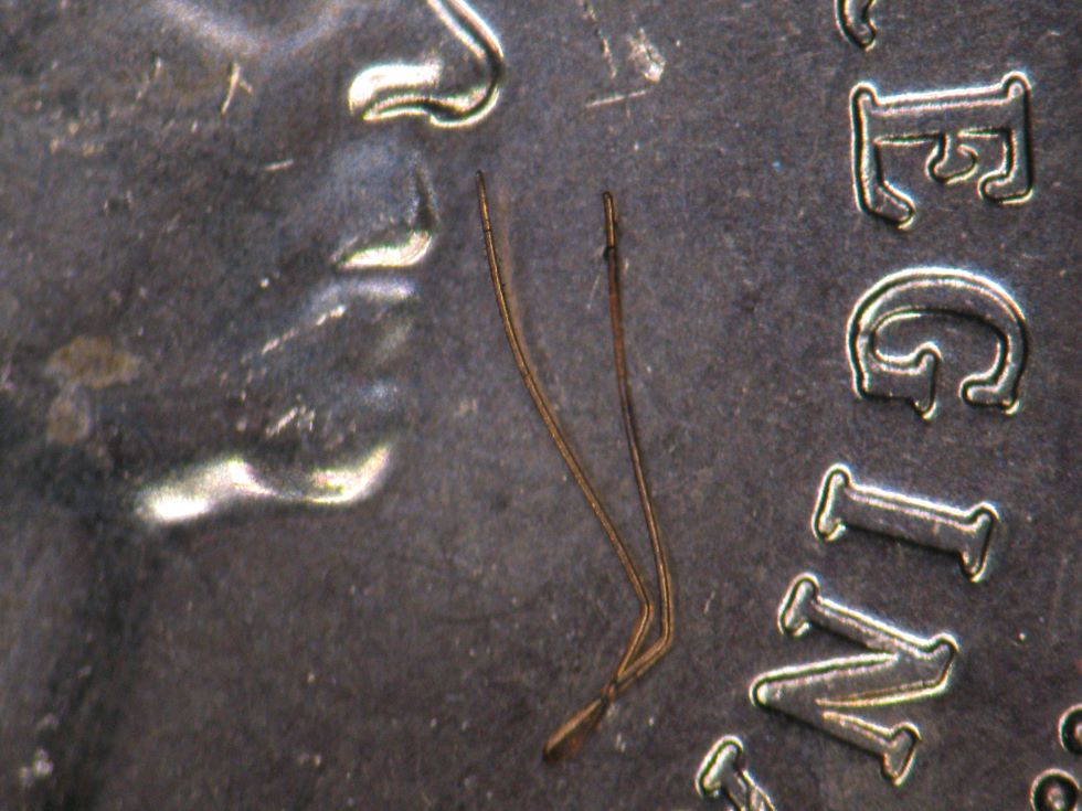 1993-Canadian-1-Cent---Stuck-On-Wire-Variety