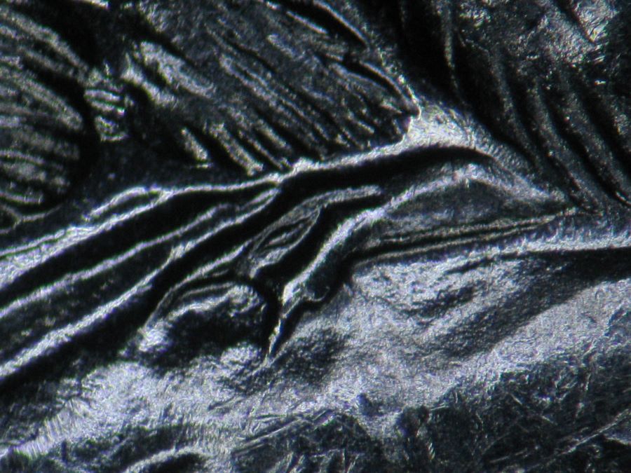 Post-Your-New-Canadian-Doubled-Die-Finds-Listed-In-John-O'connor's-Guide
