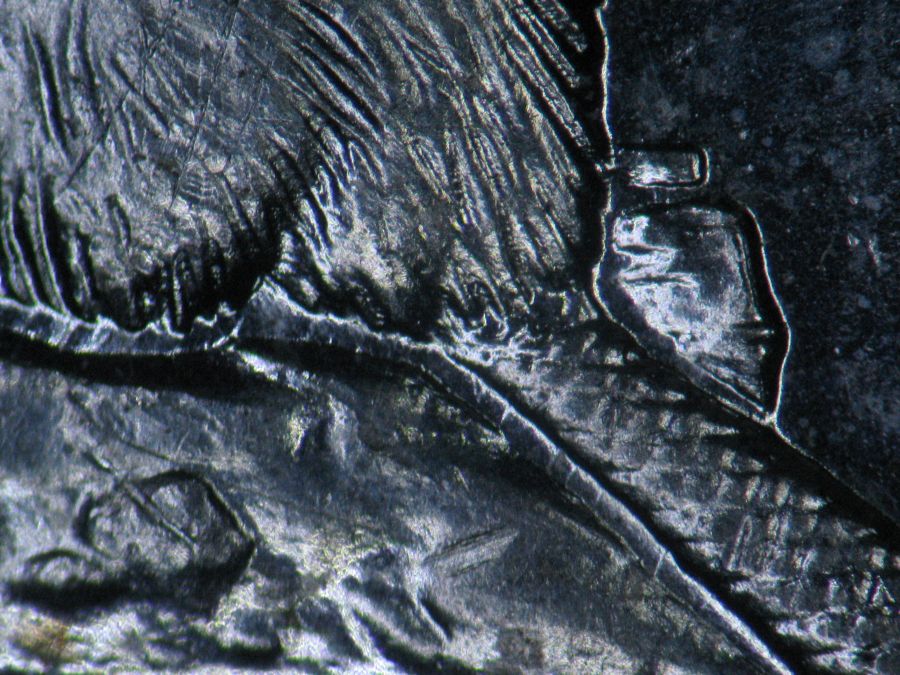 1965-Canadian-5-Cent---Double-Die-5-With-And-Amazing-Network-Of-Lathe-Lines