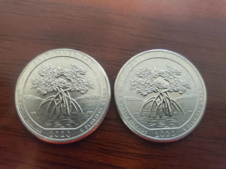 2020-Salt-River-Bay-P-Quarter